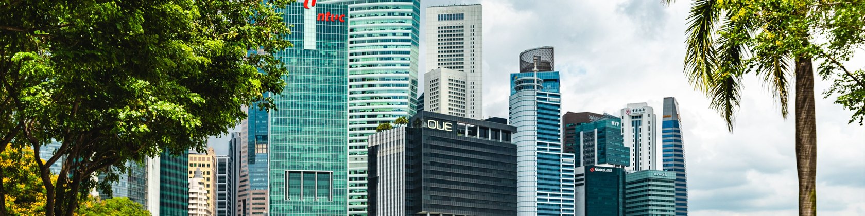 The Singapore skyline across Marina Bay with greenery in the foreground